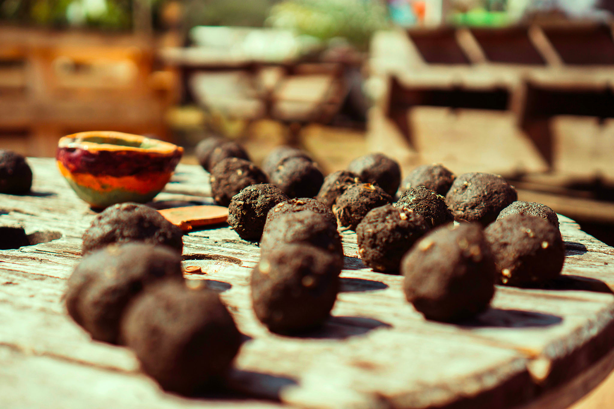 bombes a graines jonathan kemper unsplash