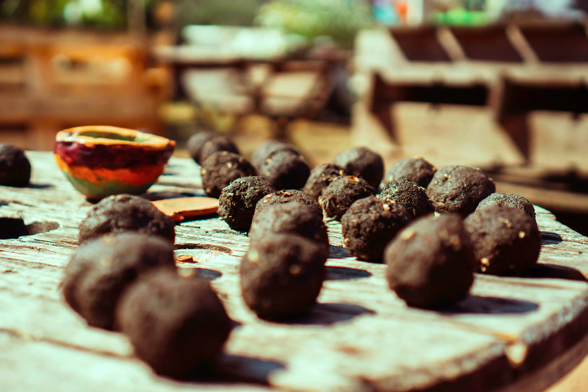 Reportage photo : session "confection de bombes à graines" au sein d'un jardin collectif.