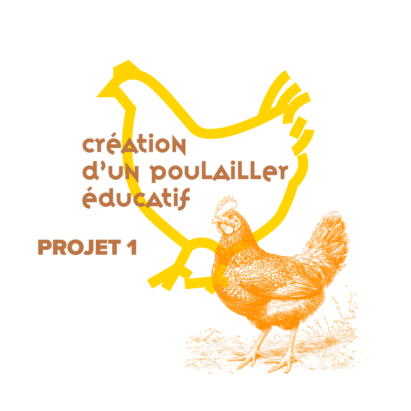 creation illustrations projets jardin citoyen