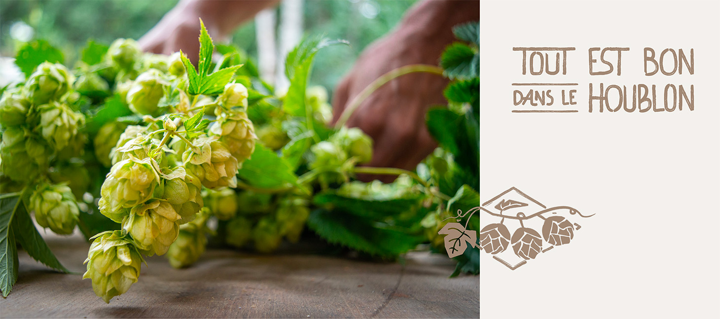 graphisme tout est bon dans le houblon