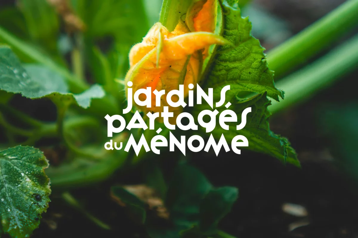 Le logo du collectif citoyen des Jardins partagés du Ménome, apparaît en sur-impression d'une macro-photographie de fleur de courgette