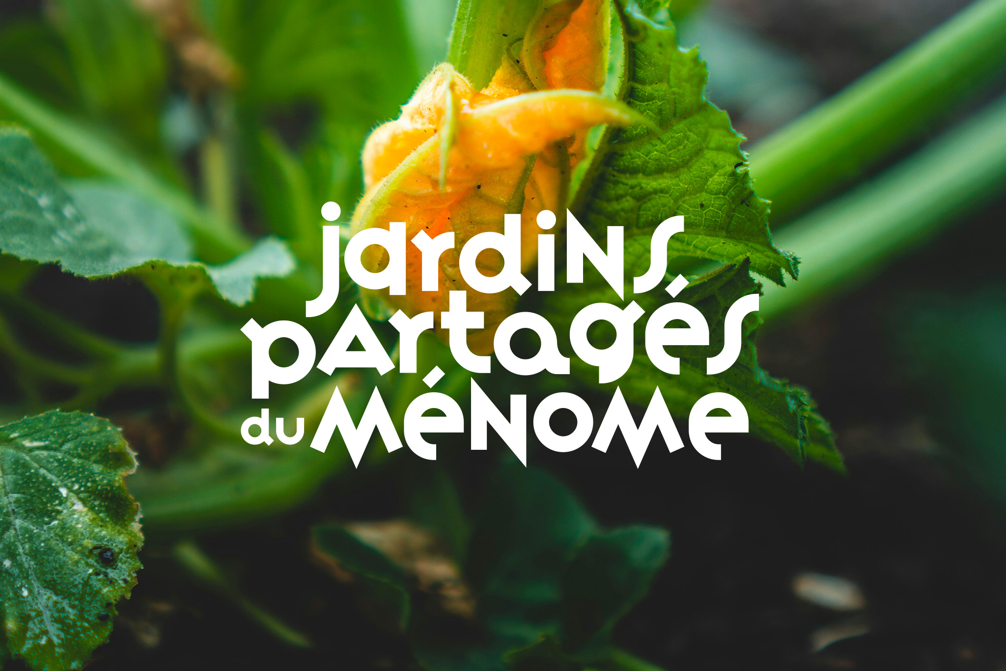 logo collectif citoyen jardin partage