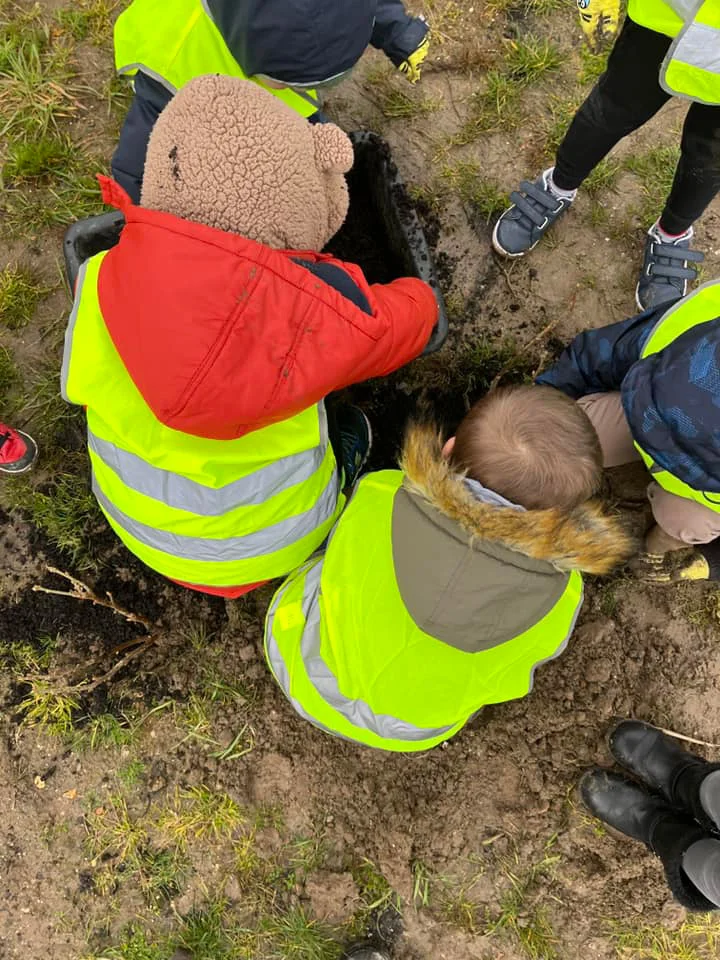 Les enfants de l'école maternelle plantent de petits fruitiers : framboisiers, cassissiers, groseilliers.