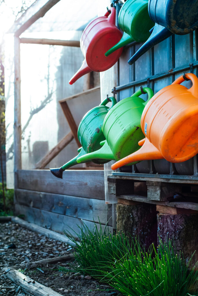 photo reportage arrosoirs jardin collectif markus spiske unsplash