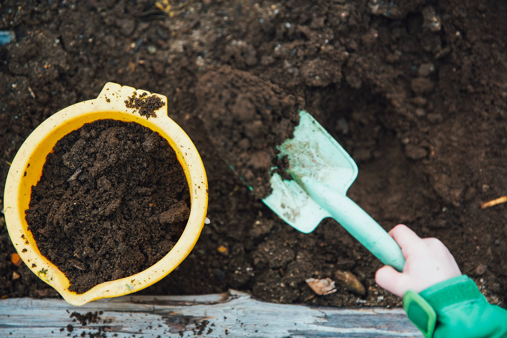 photo reportage enfant jardinage spiske unsplash