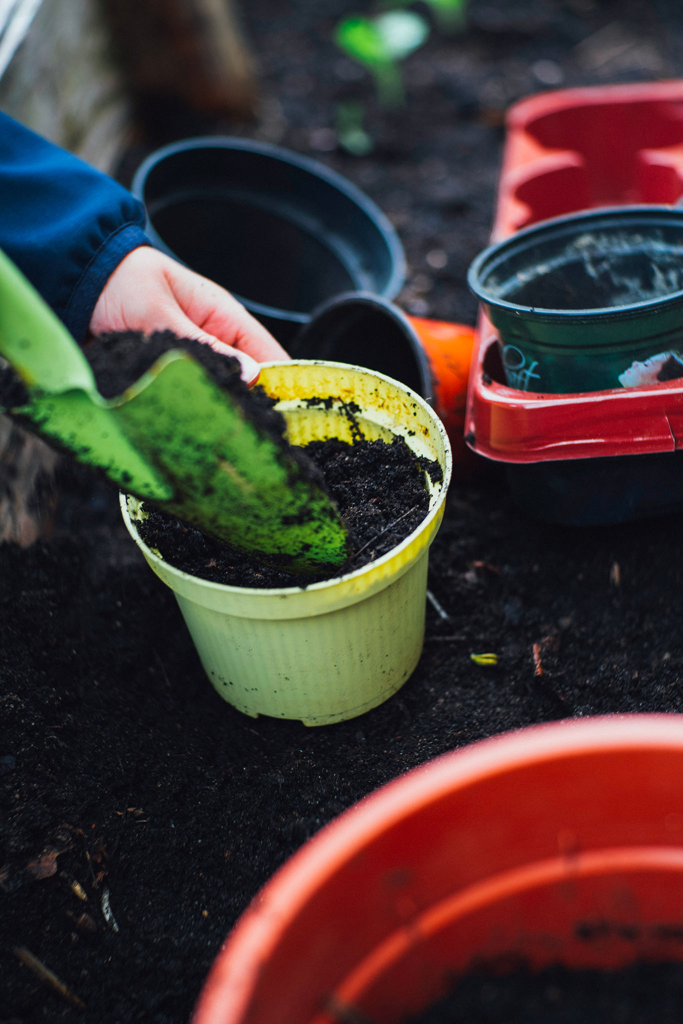 photo reportage semis jardin partage markus spiske unsplash