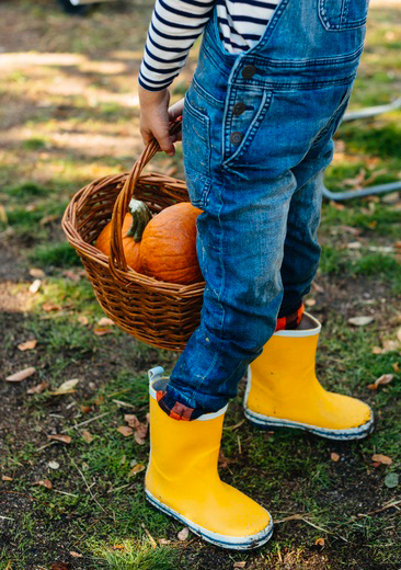 reportage photo enfant recolte courge addictivestock nounproject